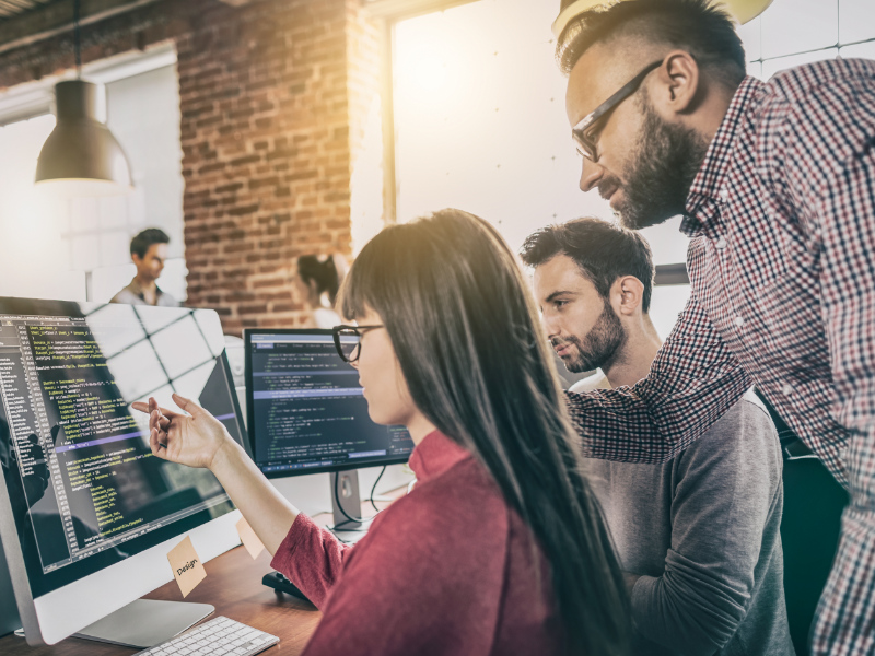 Softwareentwicklung Softwareentwicklung