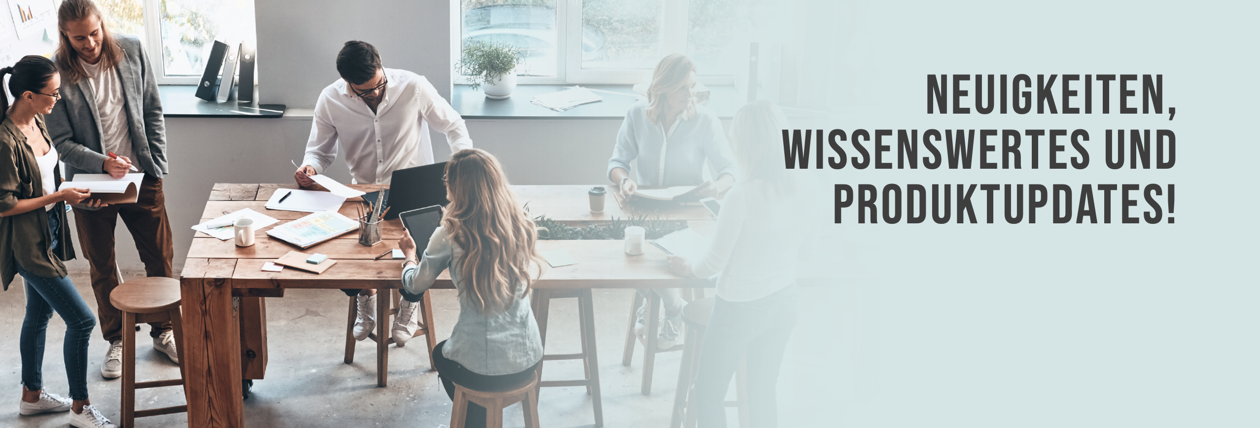 Marini Presse und Neuigkeiten